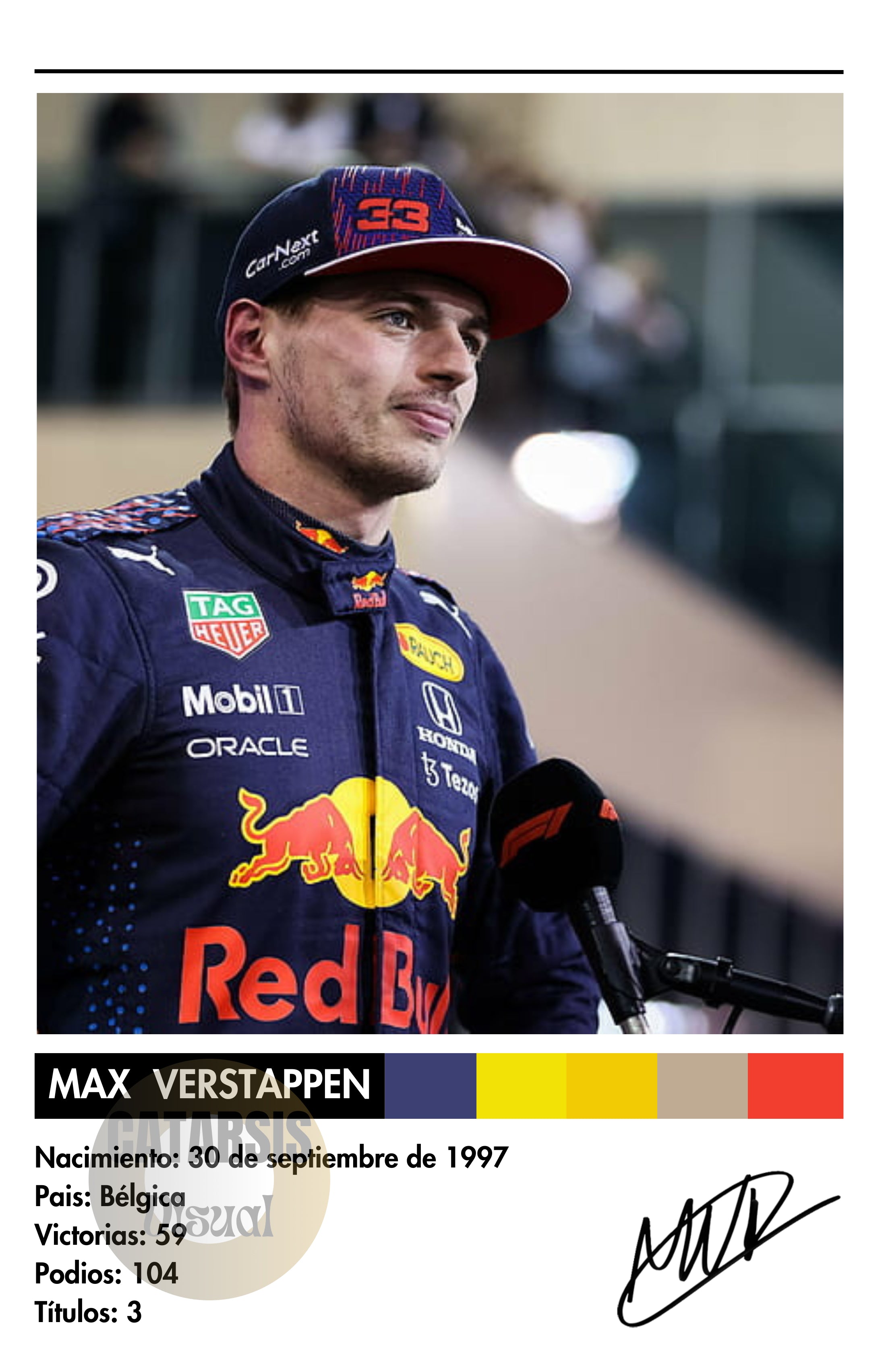 Cuadro Max Verstappen