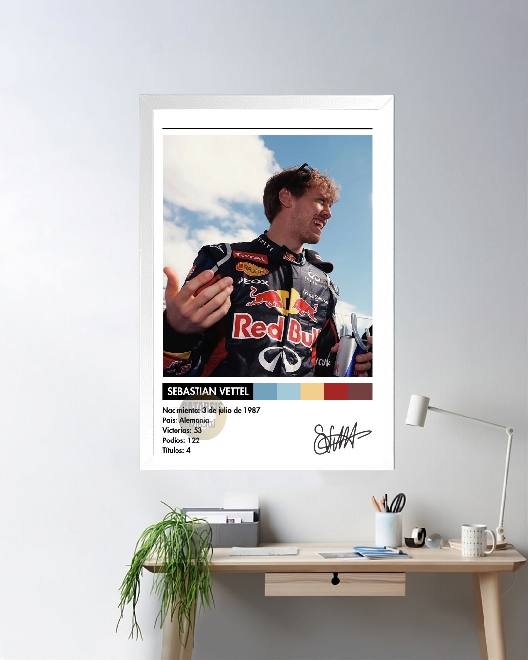 Cuadro Sebastian Vettel