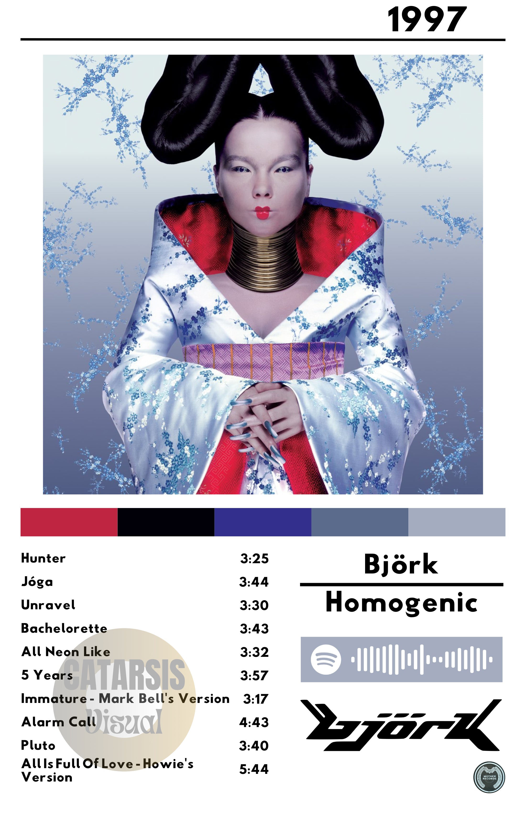 Cuadro Björk - Homogenic