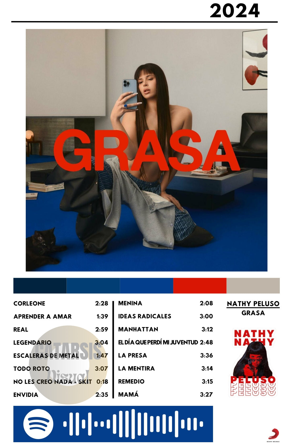 Cuadro Nathy Peluso - Grasa