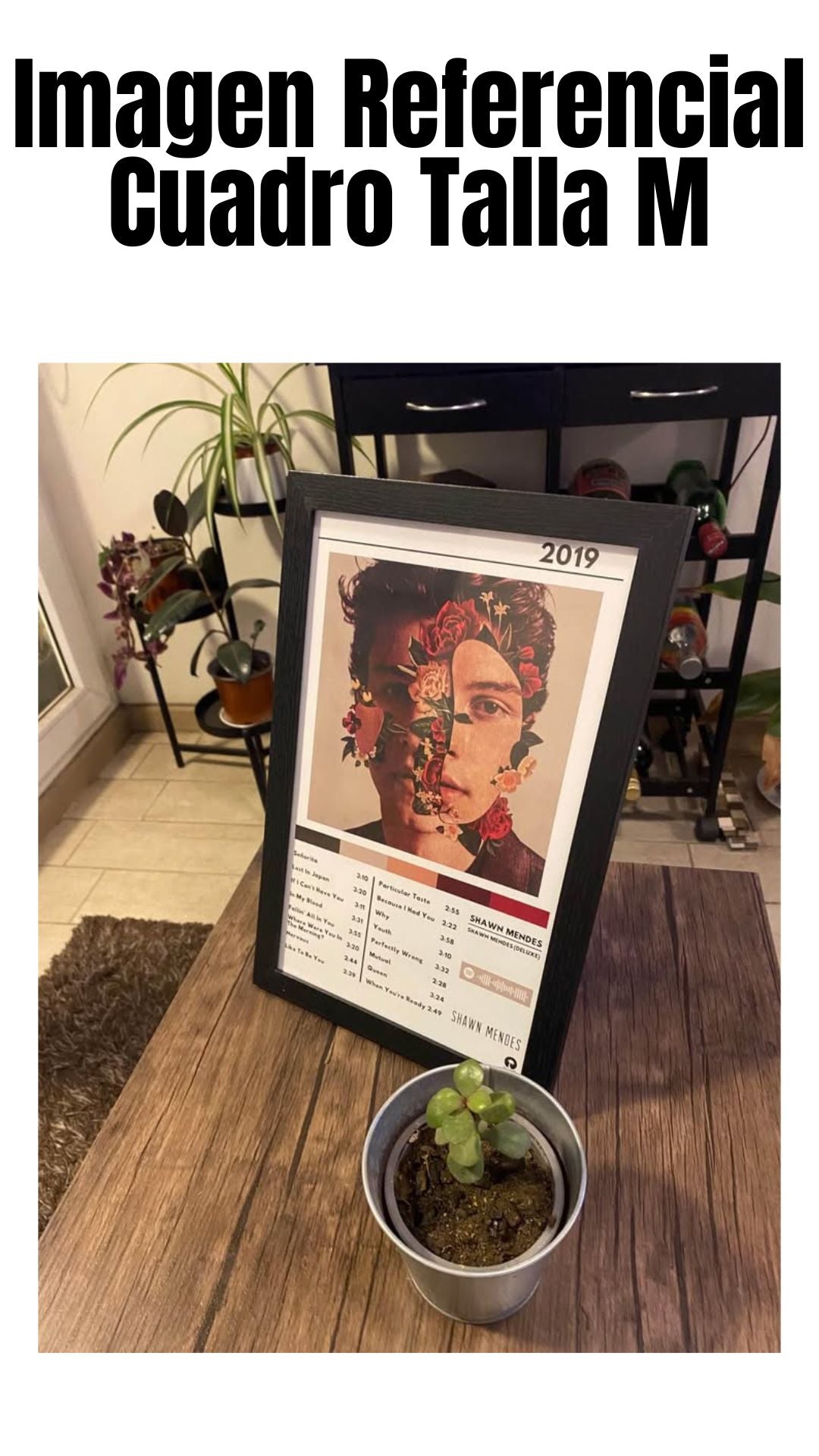 Cuadro Shawn Mendes - Shawn Mendes