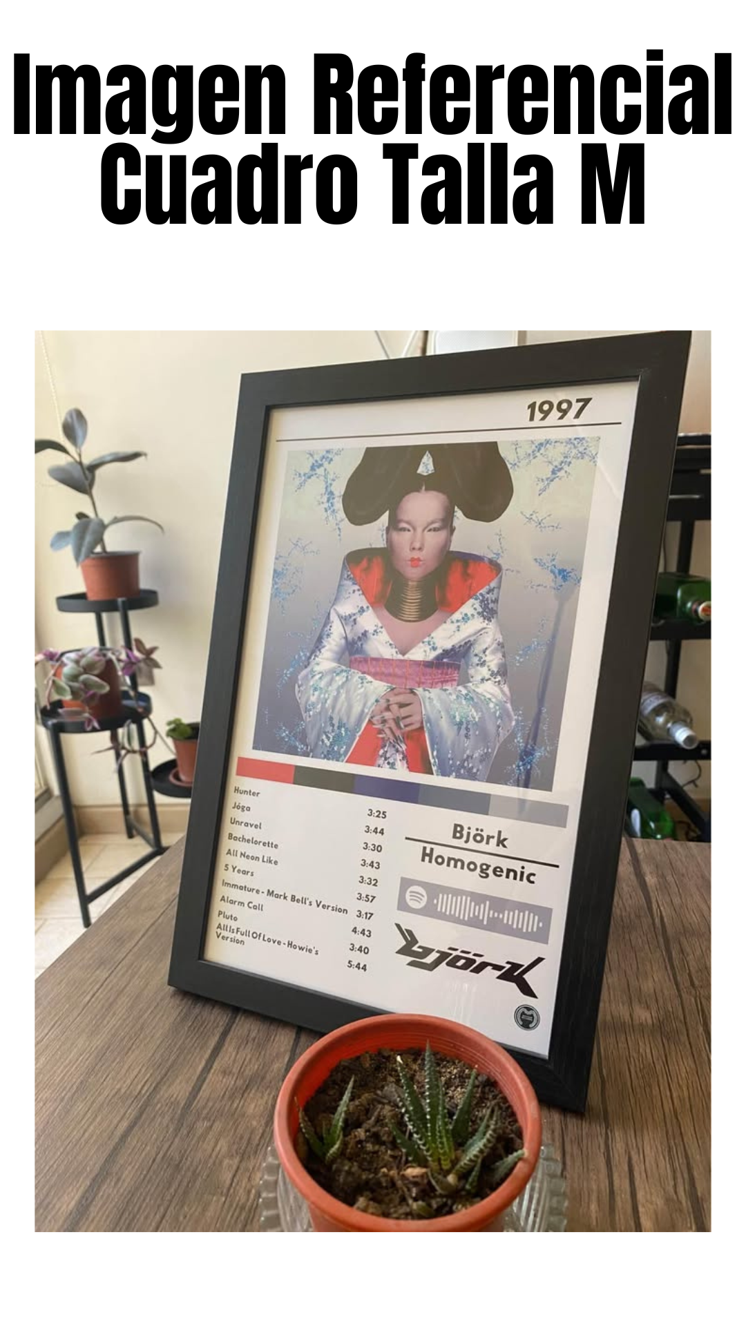 Cuadro Björk - Homogenic