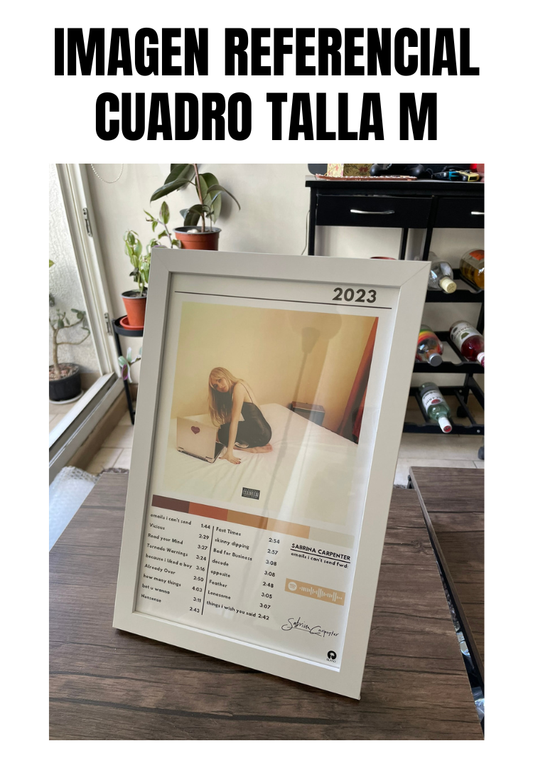 Cuadro Sabrina Carpenter - emails i can't send fwd
