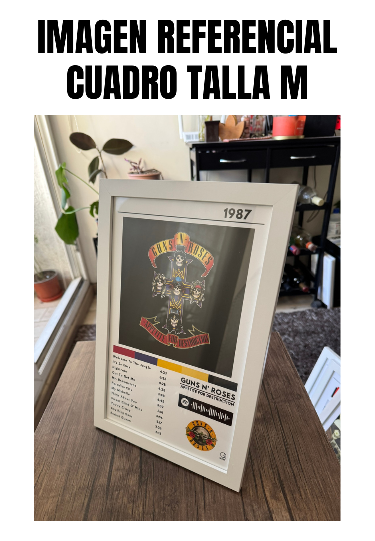 Cuadro Guns N' Roses - Appetite for Destruction