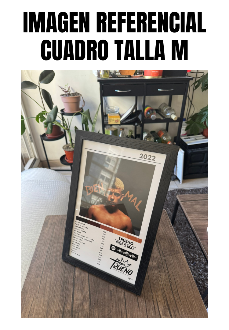 Cuadro Trueno - BIEN O MAL