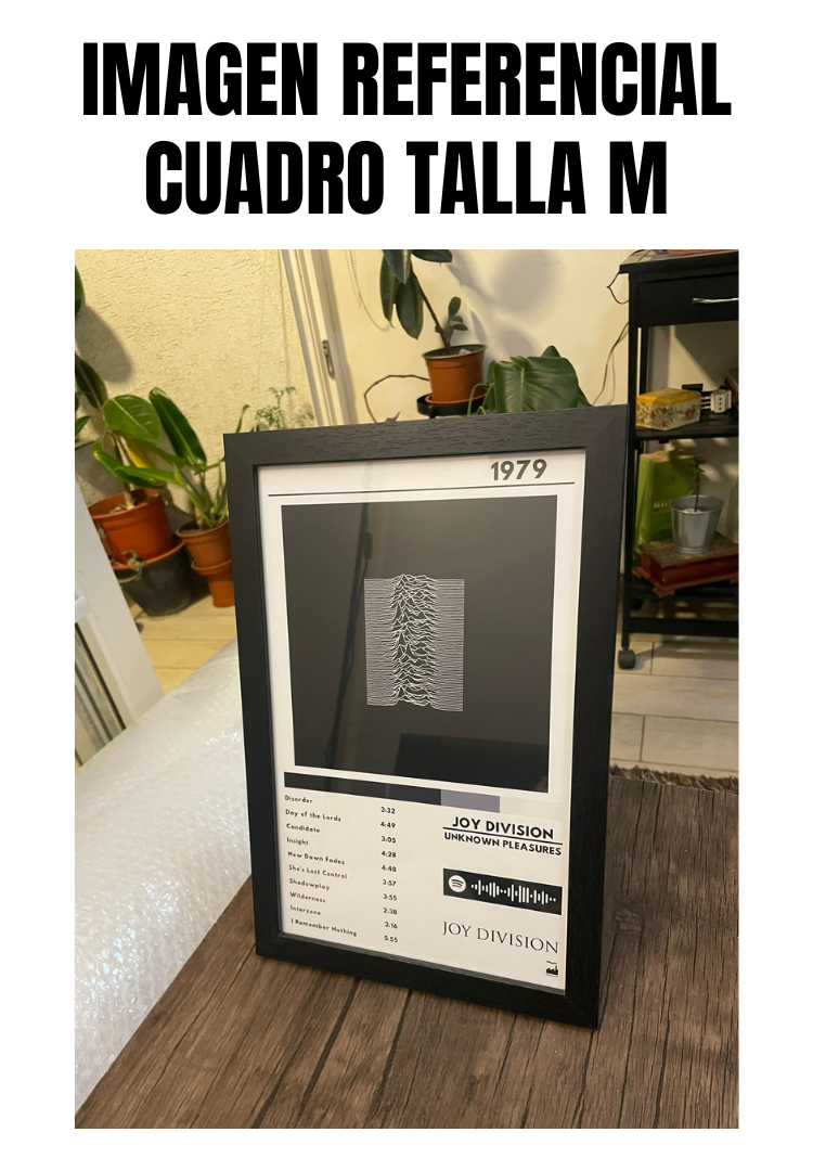 Cuadro Joy Division - Unknown Pleasures