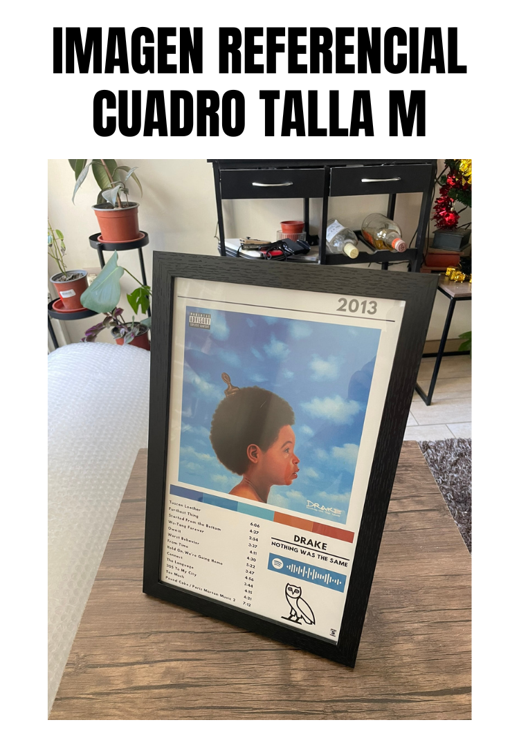 Cuadro Drake - Nothing Was The Same