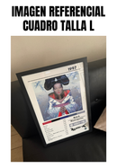 Cuadro Björk - Homogenic