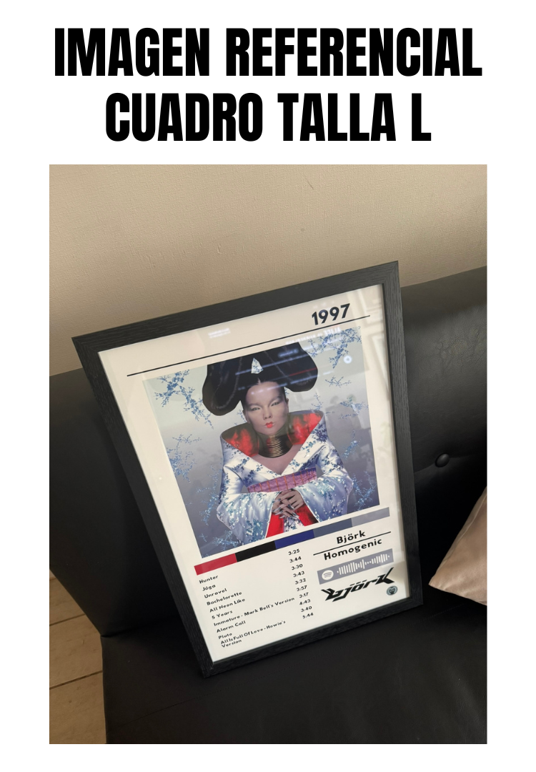 Cuadro Björk - Homogenic