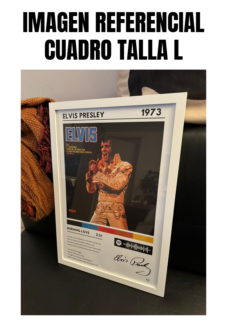 Cuadro Elvis Presley - Burning Love