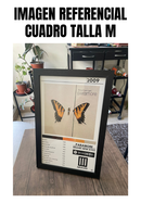 Cuadro Paramore - Brand New Eyes