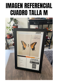 Cuadro Paramore - Brand New Eyes