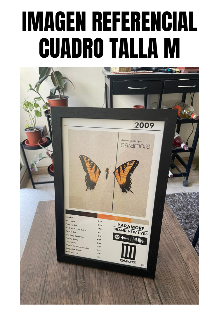 Cuadro Paramore - Brand New Eyes