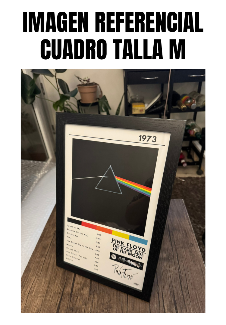 Cuadro Pink Floyd - The Dark Side of the Moon