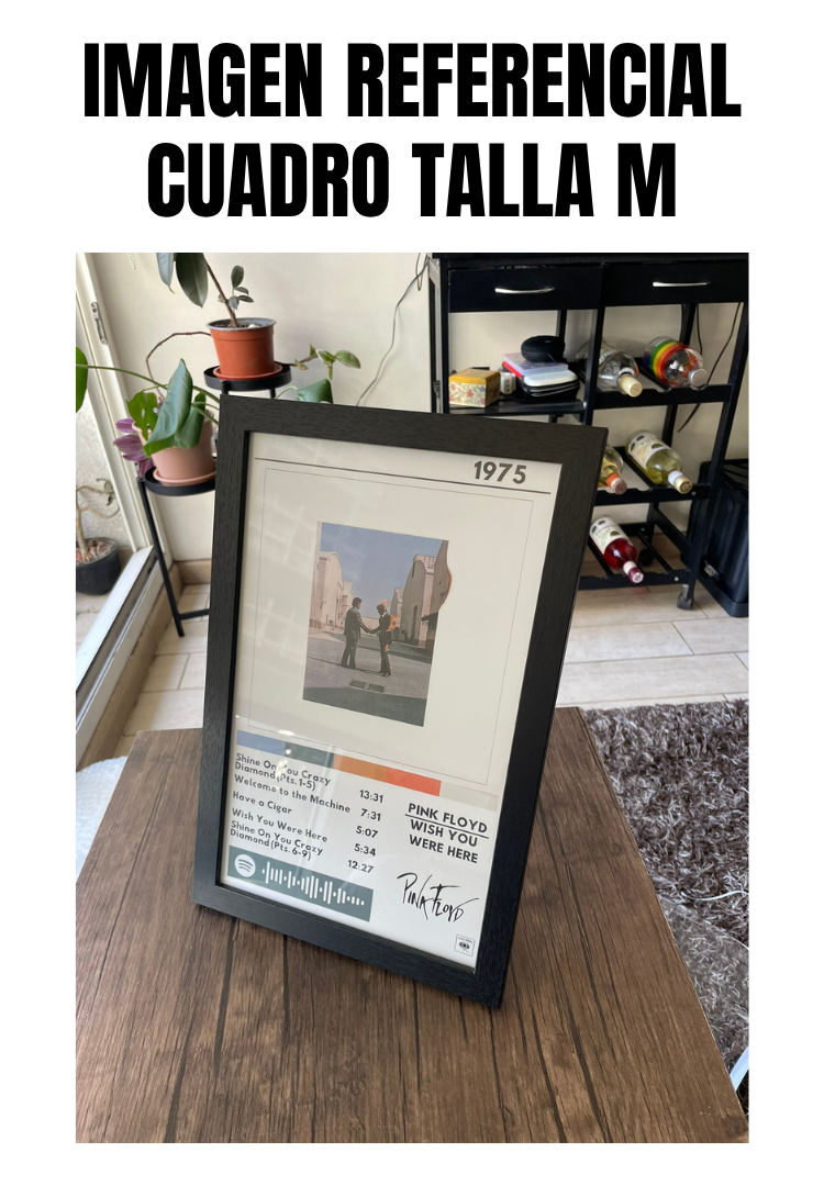 Cuadro Pink Floyd - Wish You Were Here