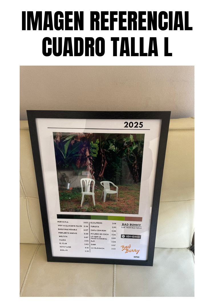 Cuadro Bad Bunny - DeBÍ TiRAR MáS FOToS