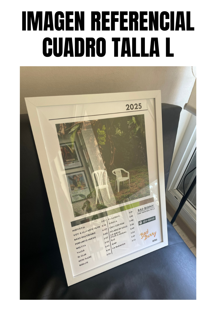 Cuadro Bad Bunny - DeBÍ TiRAR MáS FOToS