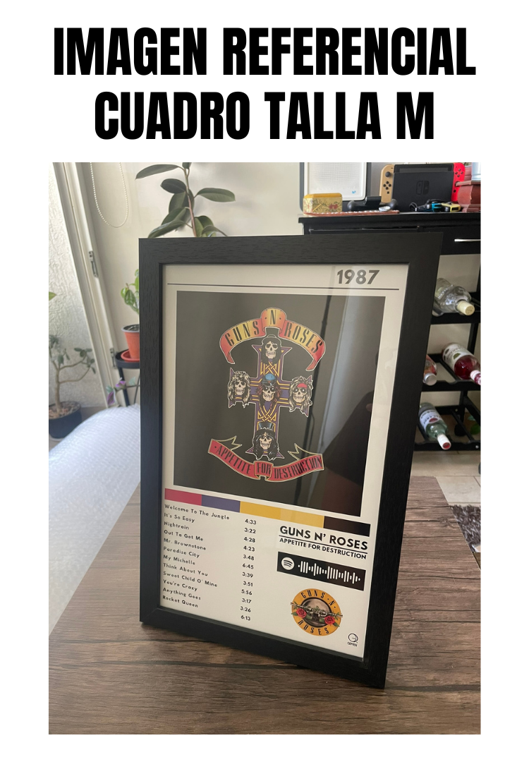 Cuadro Guns N' Roses - Appetite for Destruction