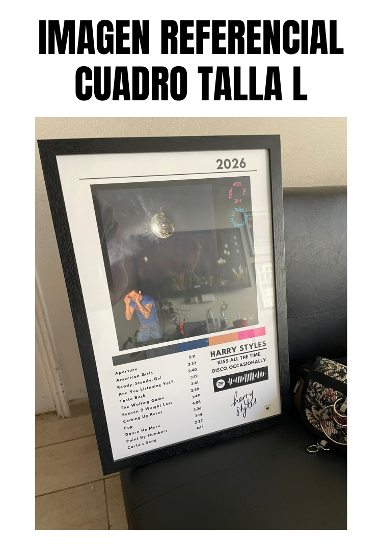 Cuadro Harry Styles - Kiss All The Time. Disco, Occasionally