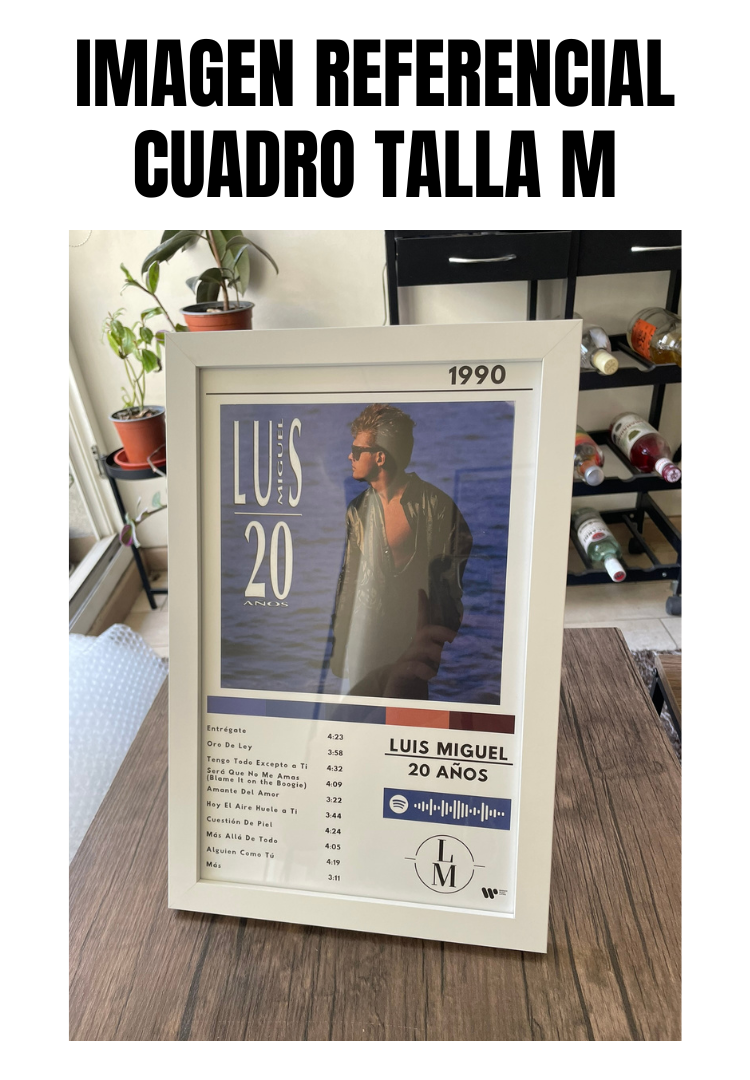 Cuadro Luis Miguel - 20 Años