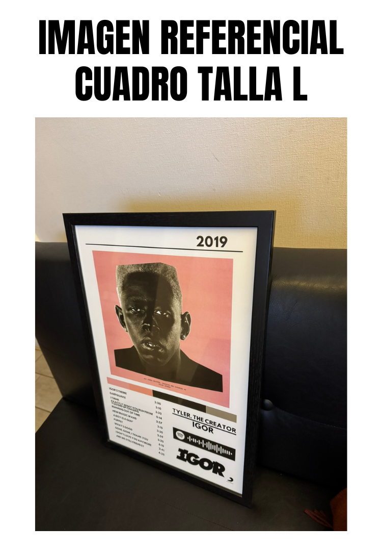 Cuadro Tyler, the Creator - IGOR