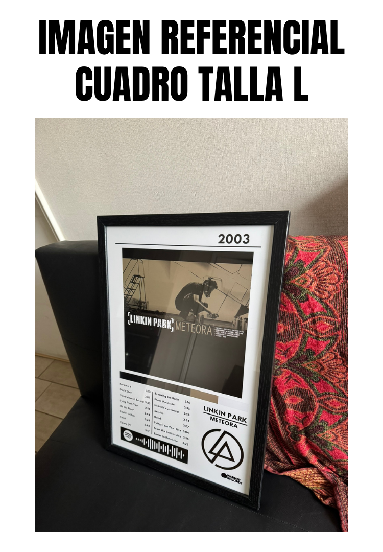 Cuadro Linkin Park - Meteora