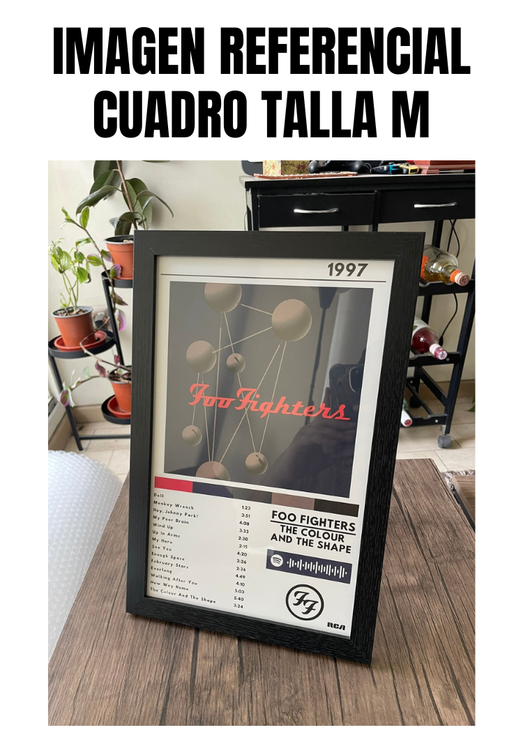 Cuadro Foo Fighters - The Colour and the Shape