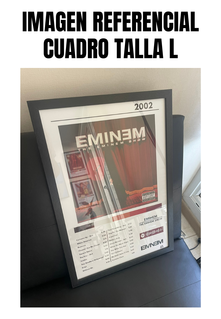 Cuadro Eminem - The Eminem Show