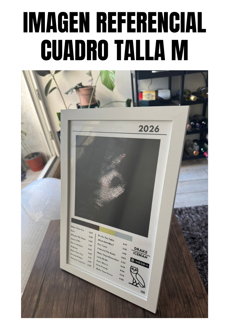 Cuadro Drake - Iceman