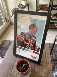 Cuadro Sebastian Vettel