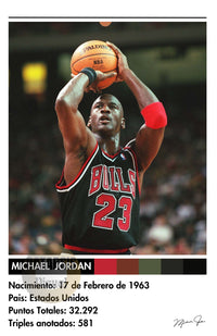 Cuadro Michael Jordan
