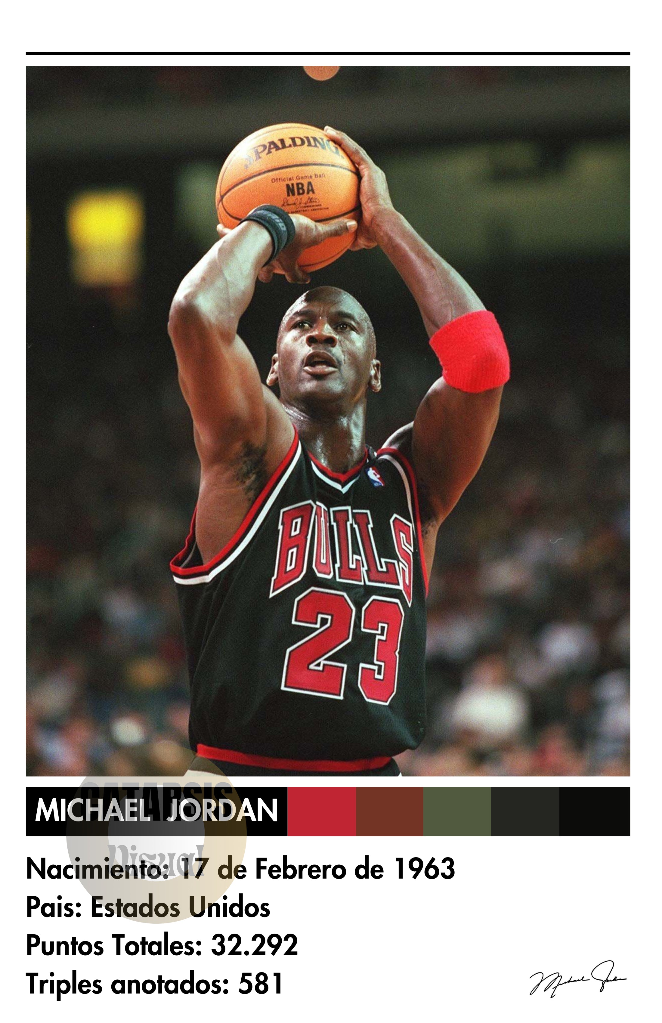 Cuadro Michael Jordan