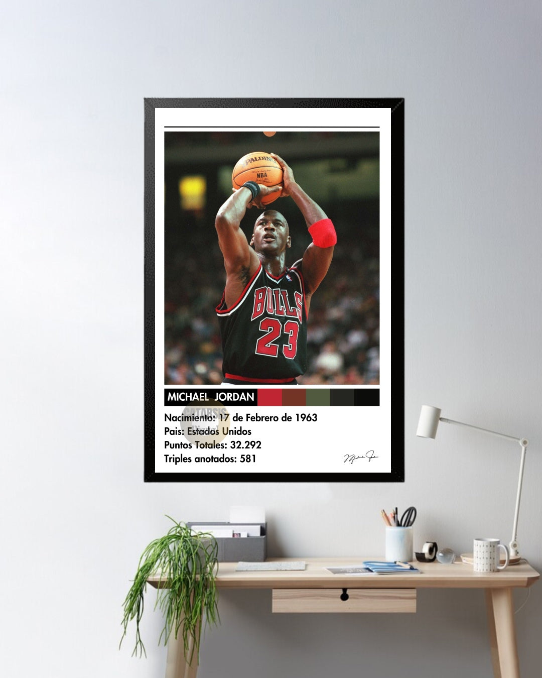 Cuadro Michael Jordan