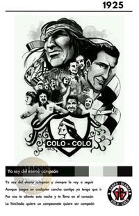 Cuadro Colo Colo - Diseño 1