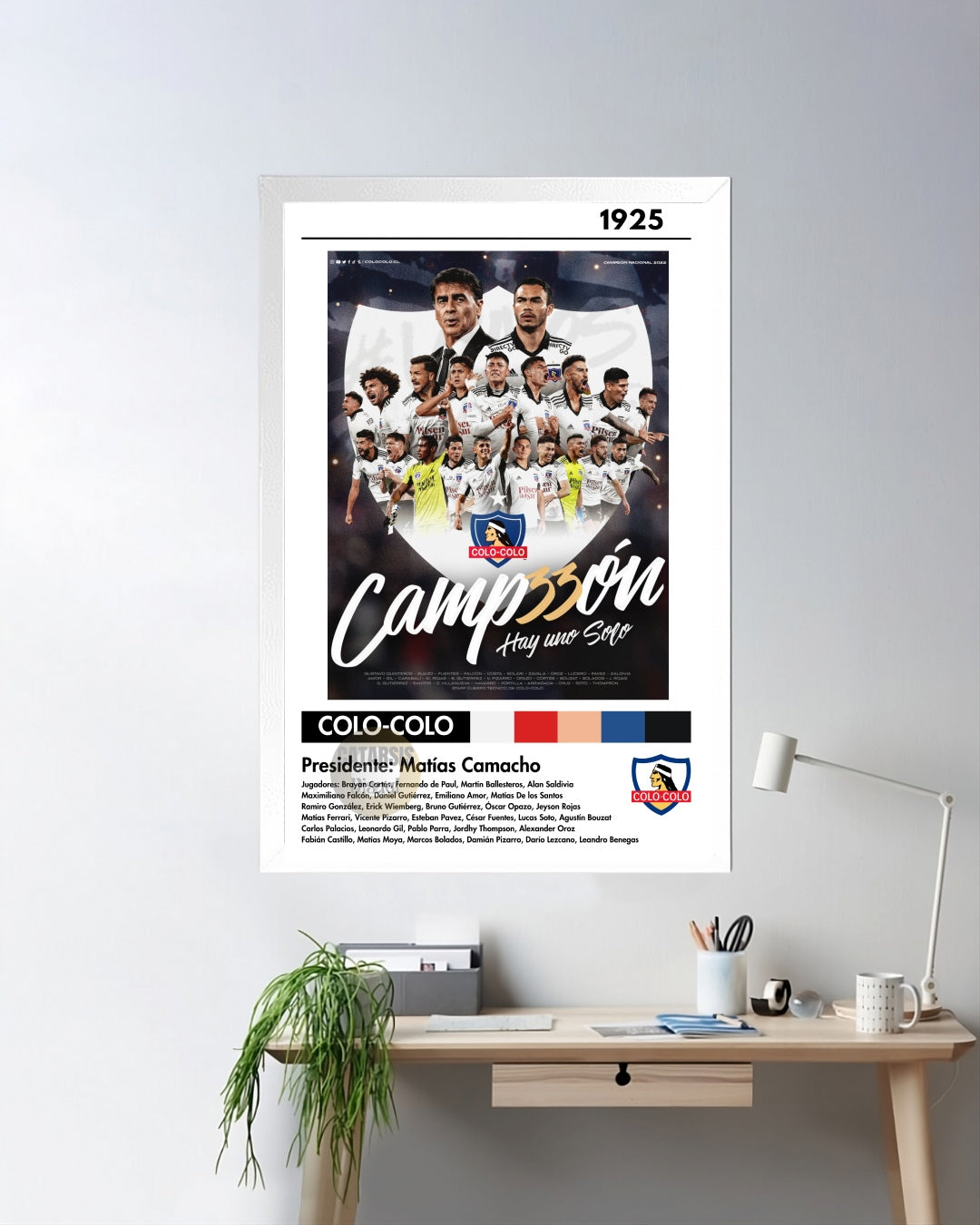 Cuadro Colo Colo - Diseño 2