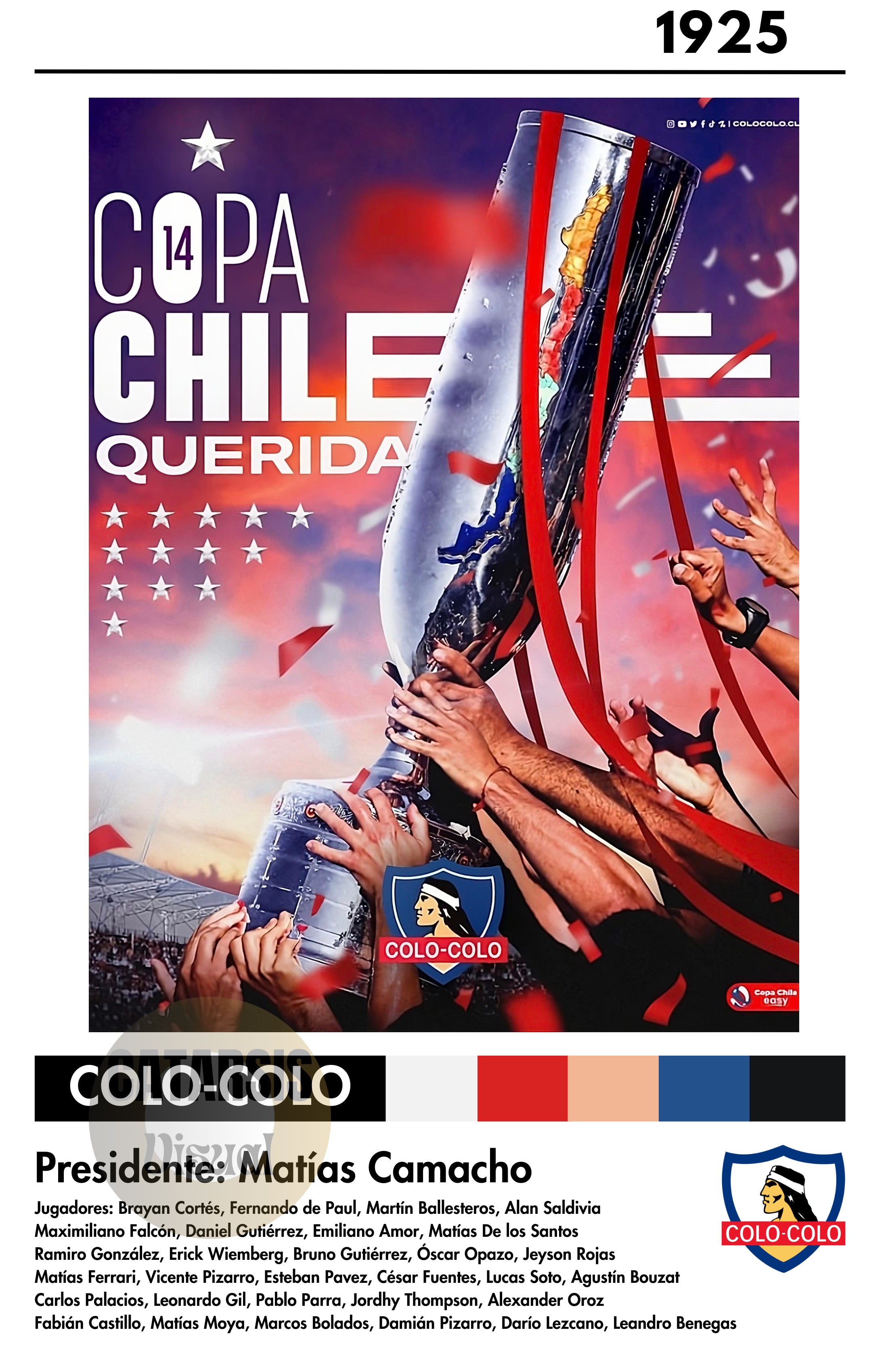 Cuadro Colo Colo - Diseño 3