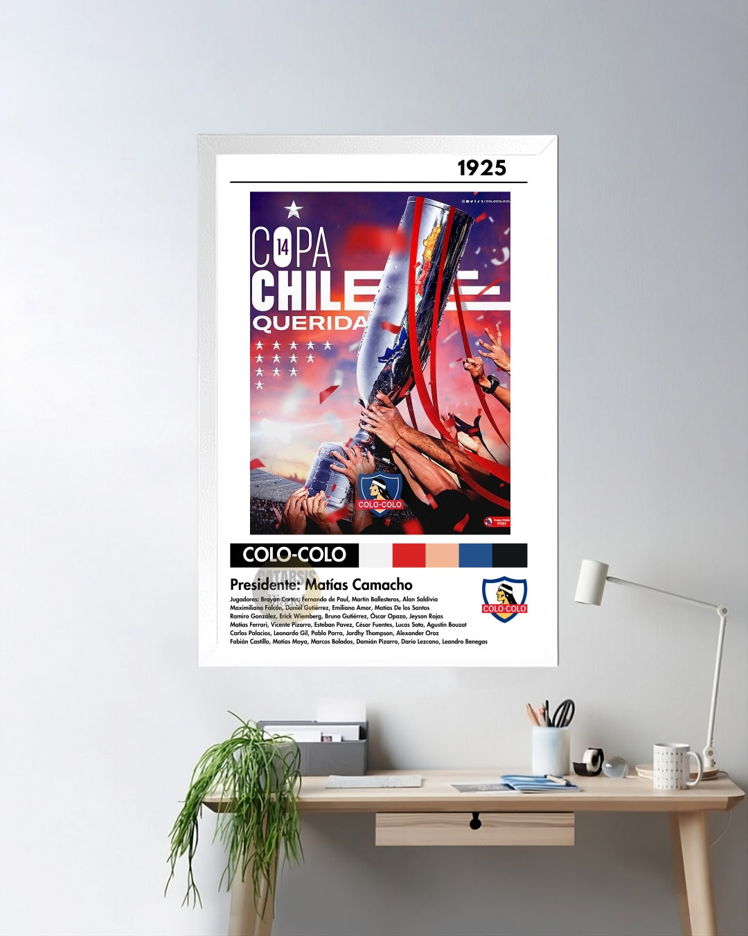 Cuadro Colo Colo - Diseño 3