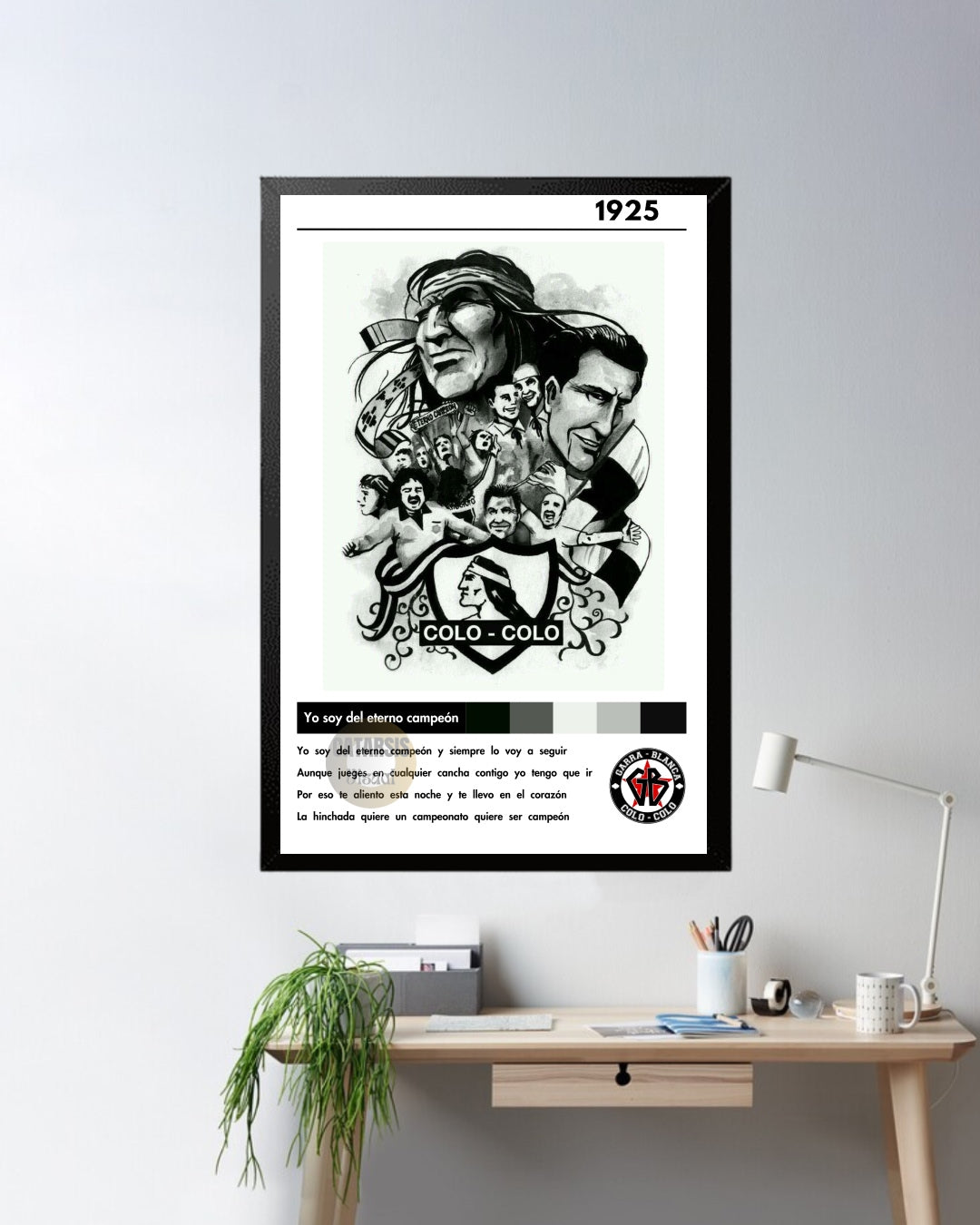 Cuadro Colo Colo - Diseño 1