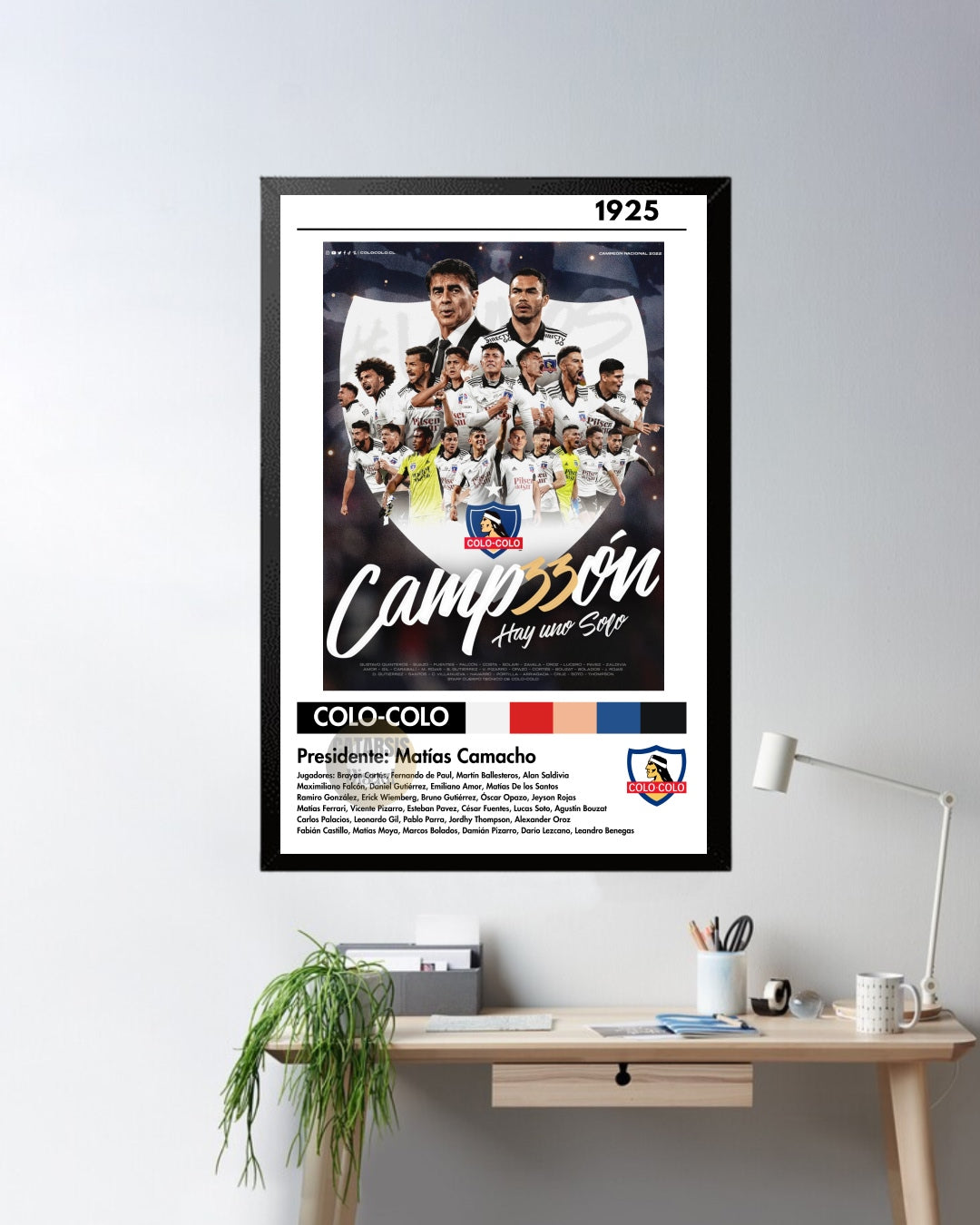 Cuadro Colo Colo - Diseño 2