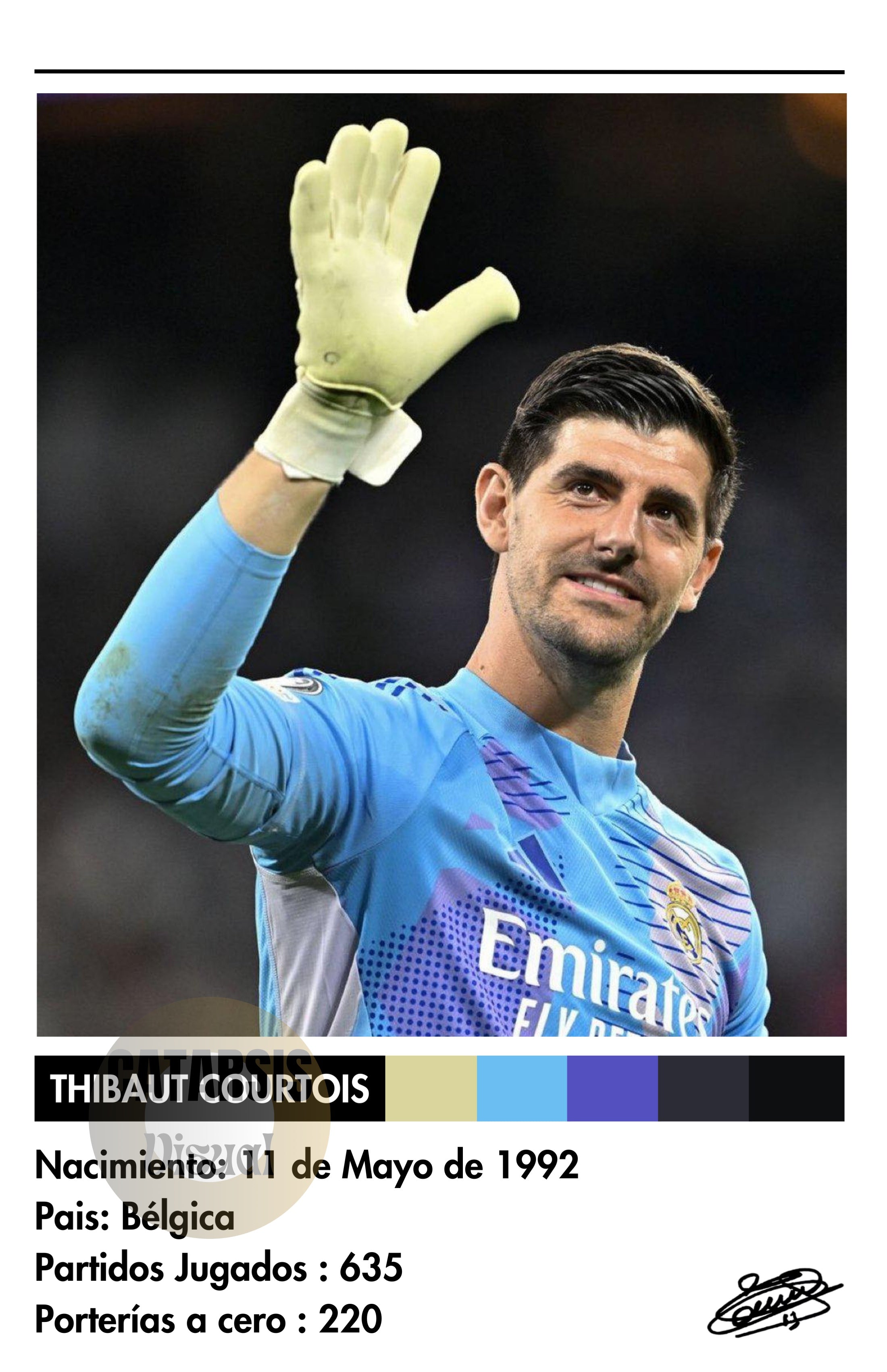 Cuadro Thibaut Courtois