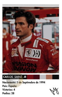 Cuadro Carlos Sainz Jr. - Catarsis Visual