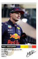 Cuadro Max Verstappen