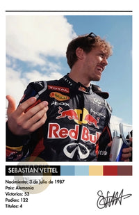 Cuadro Sebastian Vettel