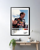 Cuadro Sebastian Vettel