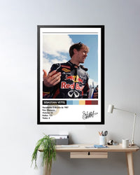 Cuadro Sebastian Vettel