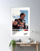 Cuadro Sebastian Vettel