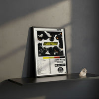 Cuadro A$AP Rocky - Testing - Catarsis Visual