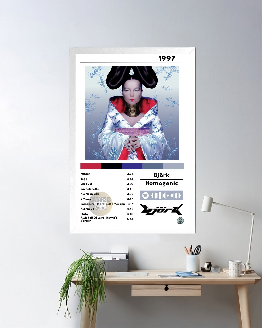 Cuadro Björk - Homogenic
