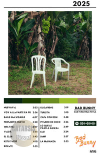 Cuadro Bad Bunny - DeBÍ TiRAR MáS FOToS