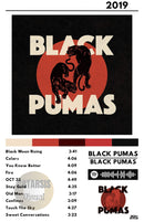 Cuadro Black Pumas - Black Pumas